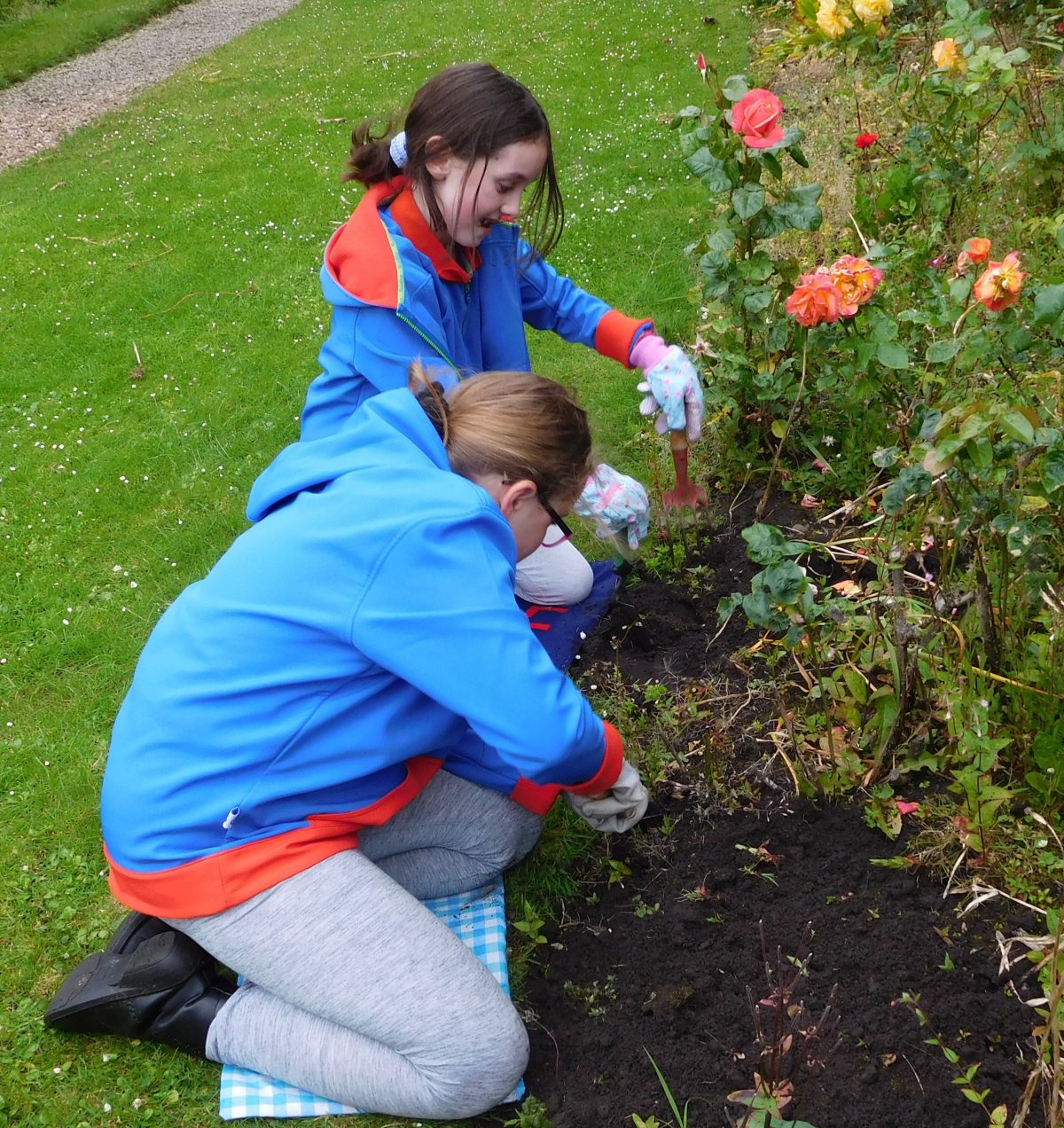 Berwick in bloom